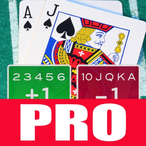 A Blackjack Card Counter - Professional iOS App