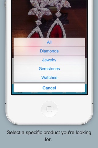 Jewelry Net screenshot 2