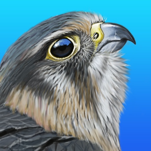 iBird Pro: UK & Ireland Guide to Birds