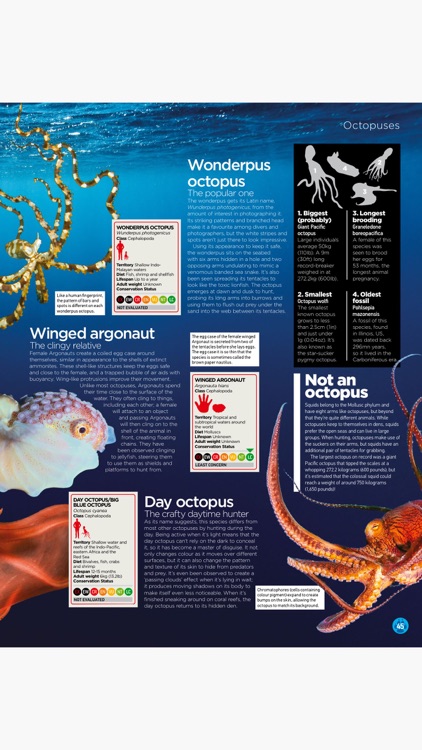 World of Animals Magazine: Wildlife and nature