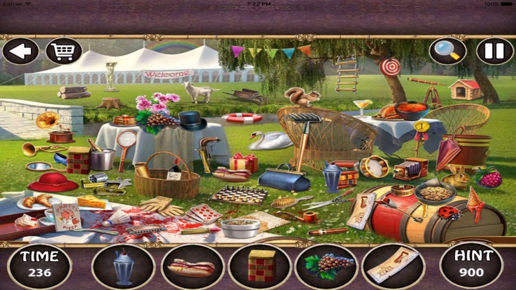 Hidden Objects : Luxury Flower