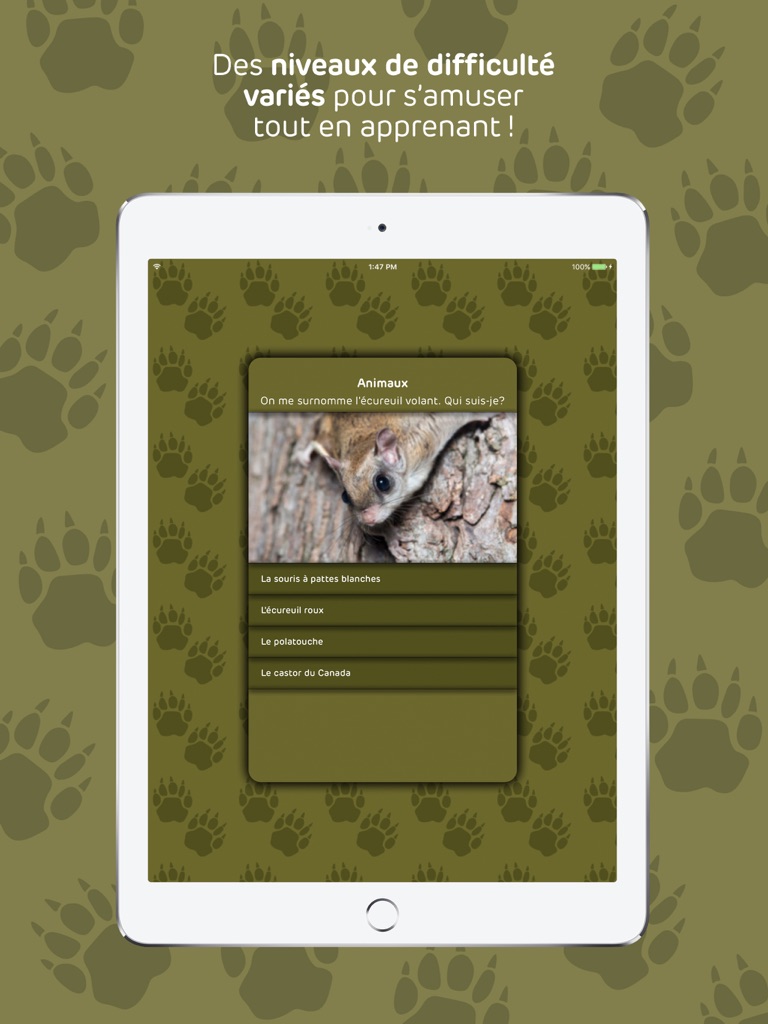 【图】QUIZ EXPLORA(截图3)