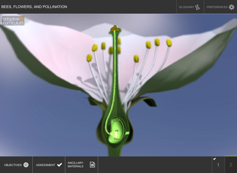 Bees, Flowers, and Pollination screenshot 4