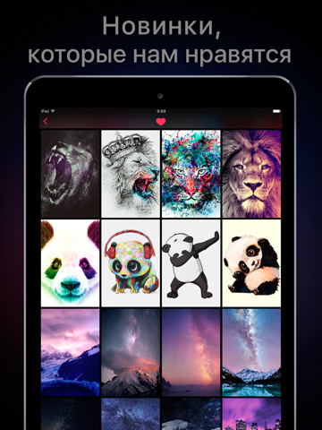 Скриншот из Featured of Wallpapers & Cool Backgrounds App