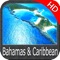 Flytomap is a valid and interesting alternative, Benetti Yachts