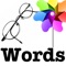 DTT / Autism Words  - learn the site words.