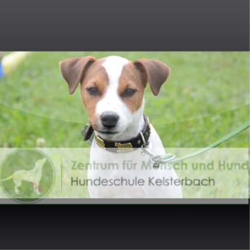 Hundeschule Kelsterbach