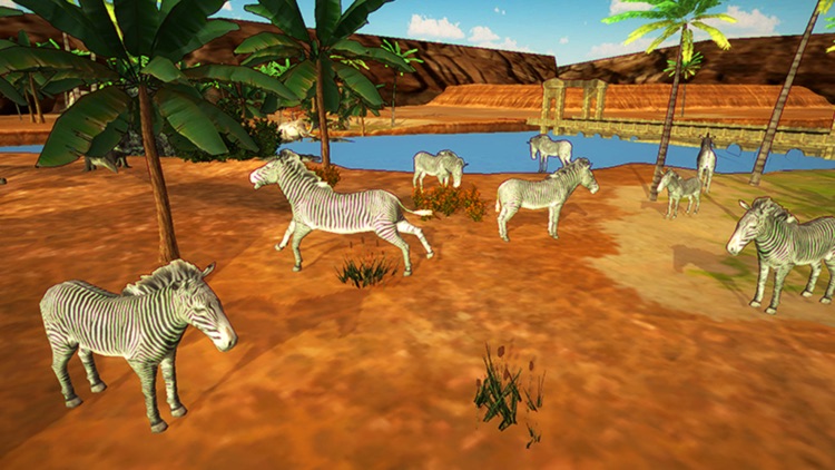 Zebra Simulator & Animal Wildlife Game screenshot-3