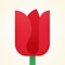 With Flowers, you can use your iPhone to create stunning bouquets and make someone feel special