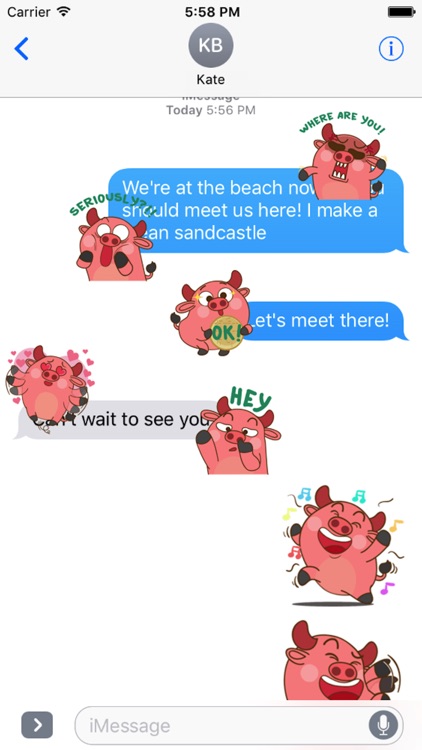 Funny Angry Pig