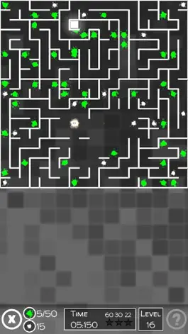 Game screenshot Rush Maze hack