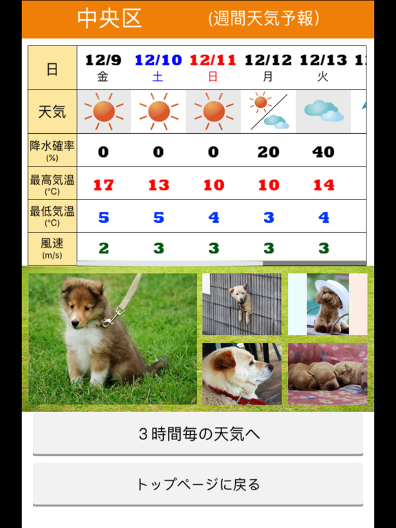 みんなのわんこ天気〜天気予報＋犬写真で毎日に少しほっこり〜のおすすめ画像2