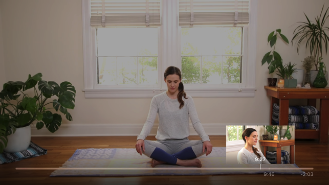 Yoga Daily Video(圖2)-速報App