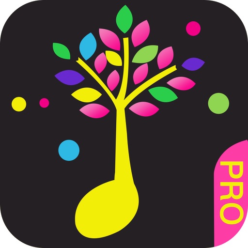 Baby Touch Music Pro, piano& guitar sound icon