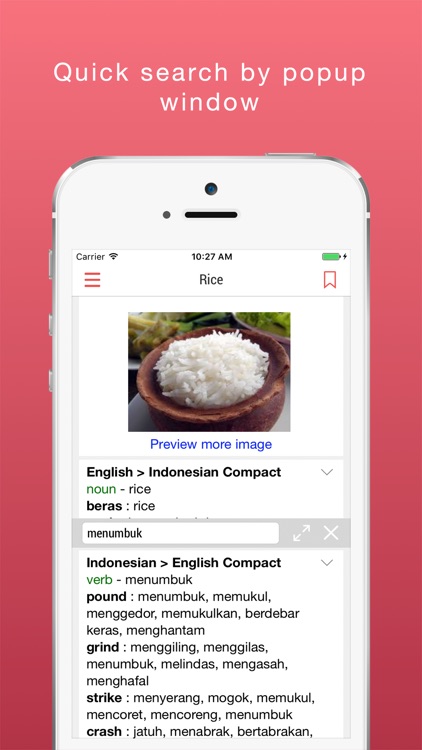 Indonesian English Dictionary - Offline Translator