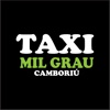 Taxi Mil Grau
