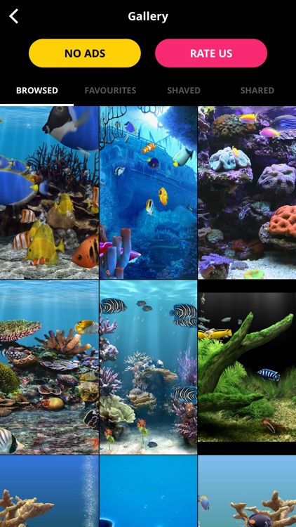 Aquarium Live Wallpaper | Nature coral ocean scene screenshot-4