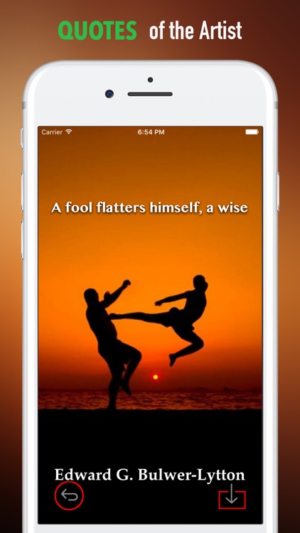 Taekwondo Wallpapers HD-Quotes and Art Pictures screenshot-3