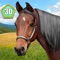 Wild Horse 3D Simulator