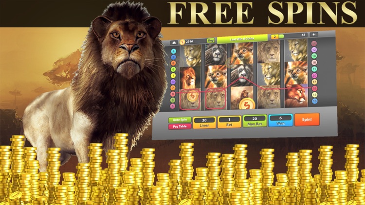 Golden lion bet