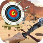 Archery Target Simulation