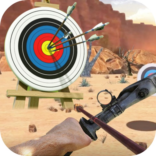 Archery Target Simulation Icon