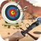 Archery Target Simulation