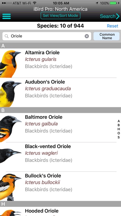 iBird Pro Guide to Birds