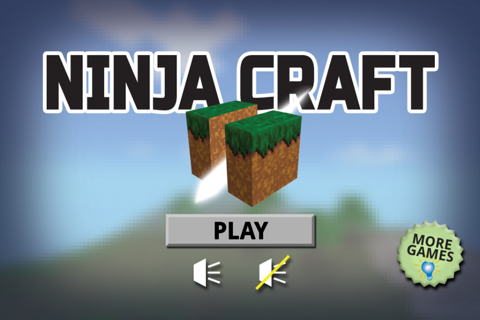 Ninja Craft Game screenshot 2
