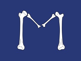 A sticker pack for those who are interested in medicine, healthcare, and the human body
