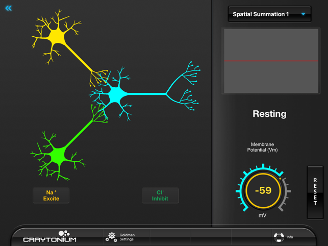 Craytonium Interactive Neurophysiology(圖3)-速報App