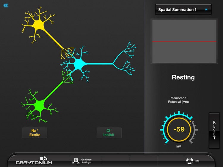 Craytonium Interactive Neurophysiology