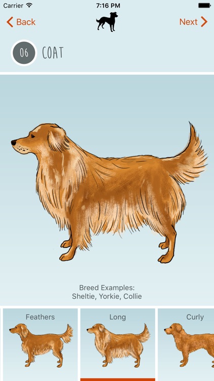 What's My Mutt?