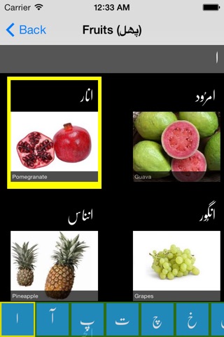 Learn Urdu screenshot 4