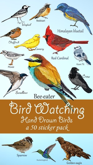 Bird Watching Hand Drawn Birds