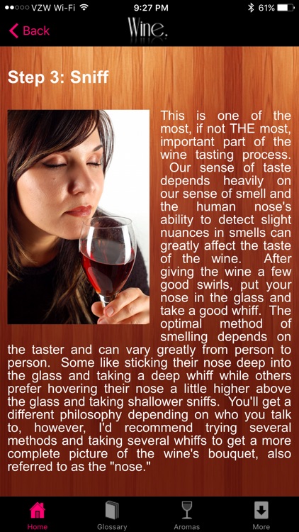 How to Taste Wine - Complete Guide to Wine Tasting