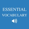 English essential vocabulary