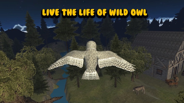 Flying Owl Bird Survival Simulator 3D(圖1)-速報App