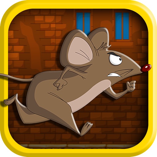 Anti Gravity Mouse Rush : Little Mice Escape FREE! Icon