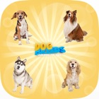 Top 49 Education Apps Like World Popular Dog Breeds Name Preschool Learning - Best Alternatives