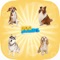 World Popular Dog Breeds Name Preschool Learning