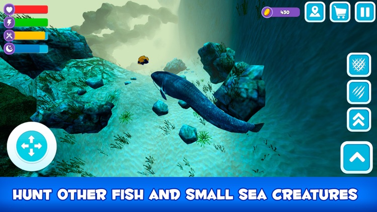 Catfish Wild Life: Fish Simulator 3D