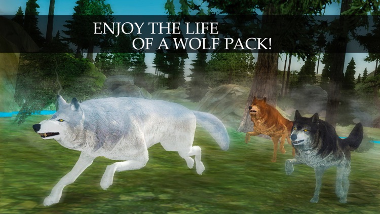 Wild Wolf Quest Online: PVP Survival Simulator