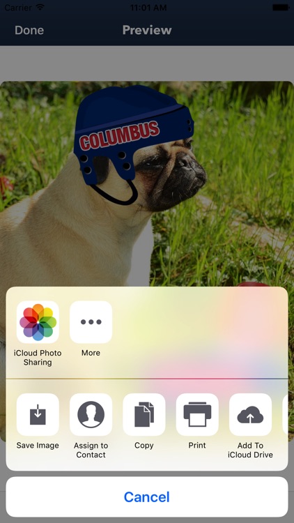 Columbus Hockey Stickers & Emojis screenshot-4