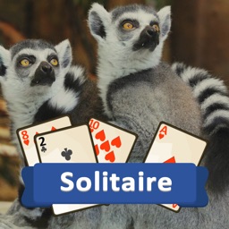 Solitaire Wild