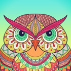 Colorify: un libro para colorear mandala libre icon