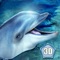 Become a beautiful wild ocean dolphin