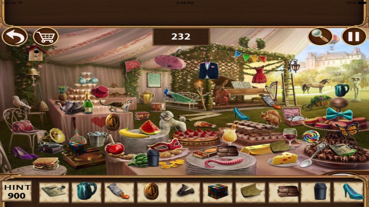 Free Hidden Objects : Picnic Master