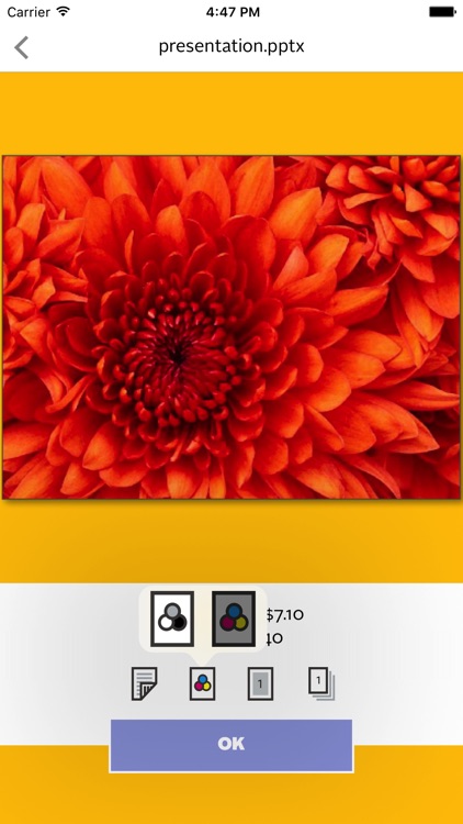 Pharos Print screenshot-3