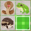 Snakes and frogs slide puzzle